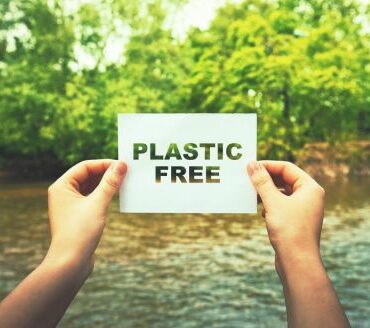 Online-Kurs: Schöner leben ohne Plastik (5 Termine)